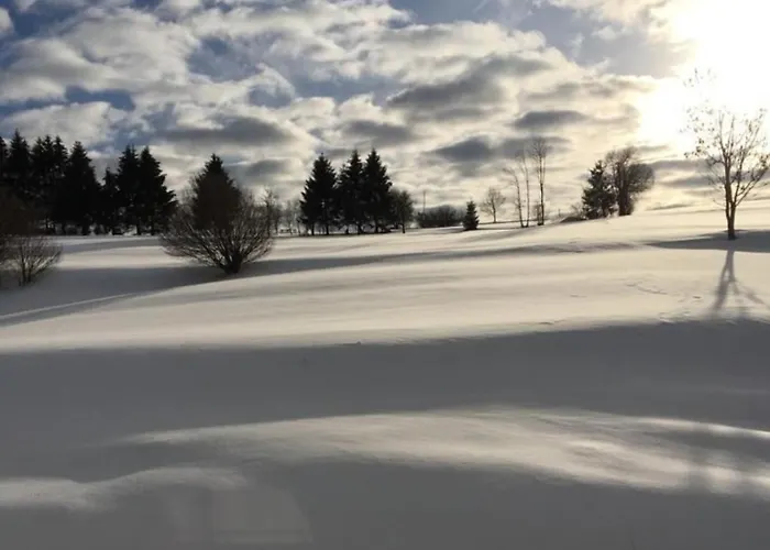 Natalie Apartamento *